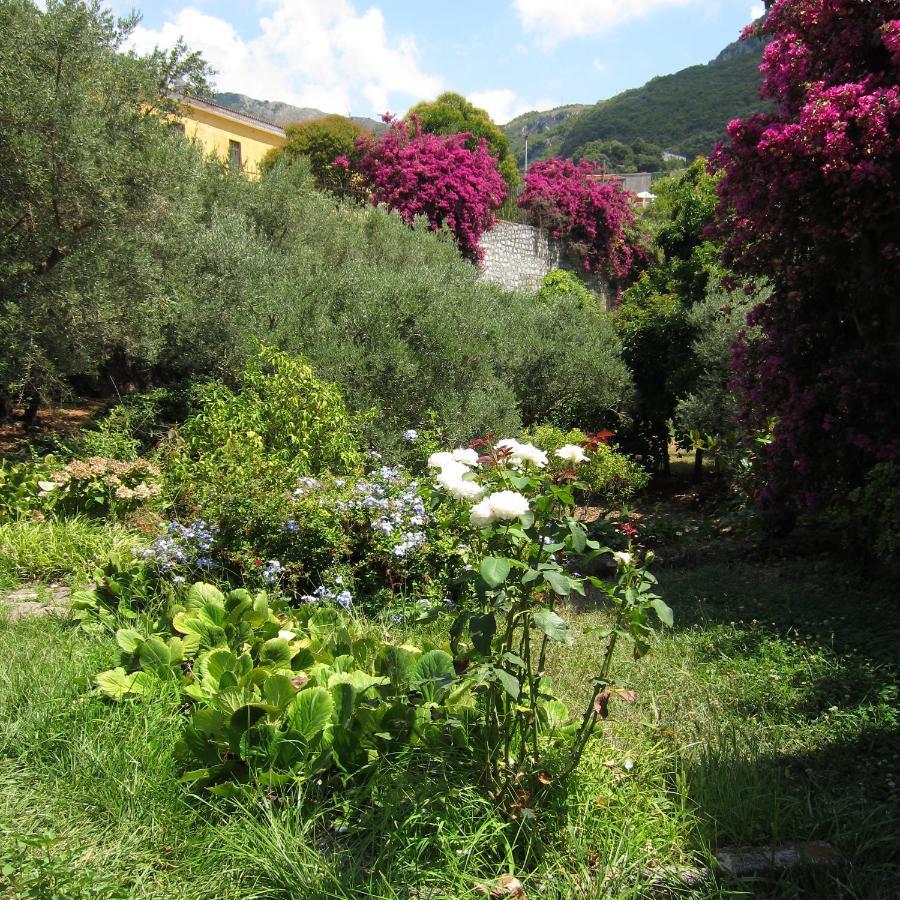 Casa Puccini B&B Maratea Exterior foto