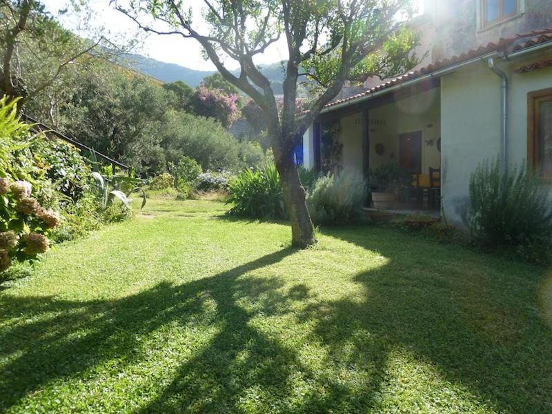 Casa Puccini B&B Maratea Exterior foto