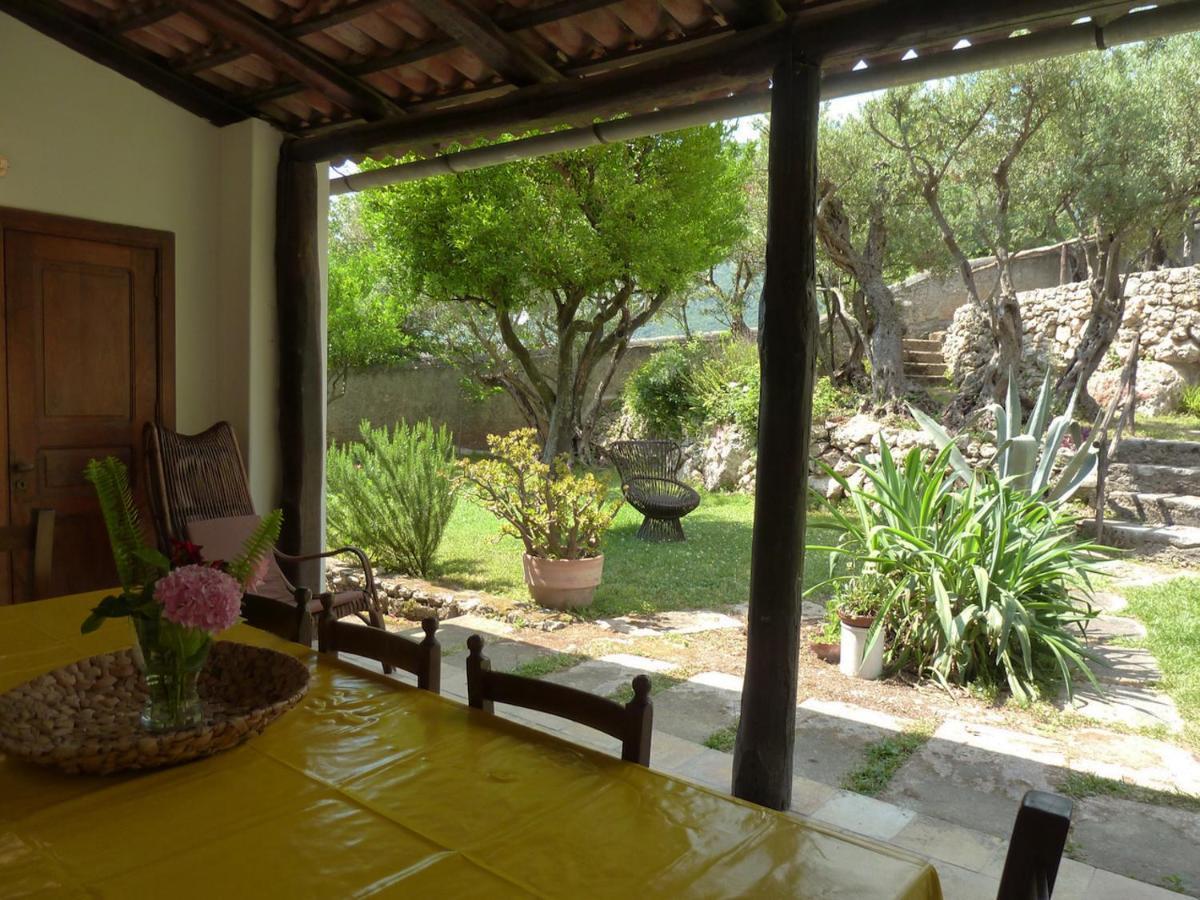 Casa Puccini B&B Maratea Exterior foto